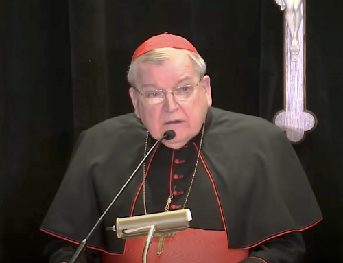 Reports: Pope Francis to evict Cardinal Burke from his Vatican home — UPDATED